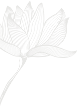 fiore loto